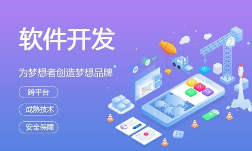 軟件開發(fā)為什么越來越多的企業(yè)傾向定制開發(fā)？